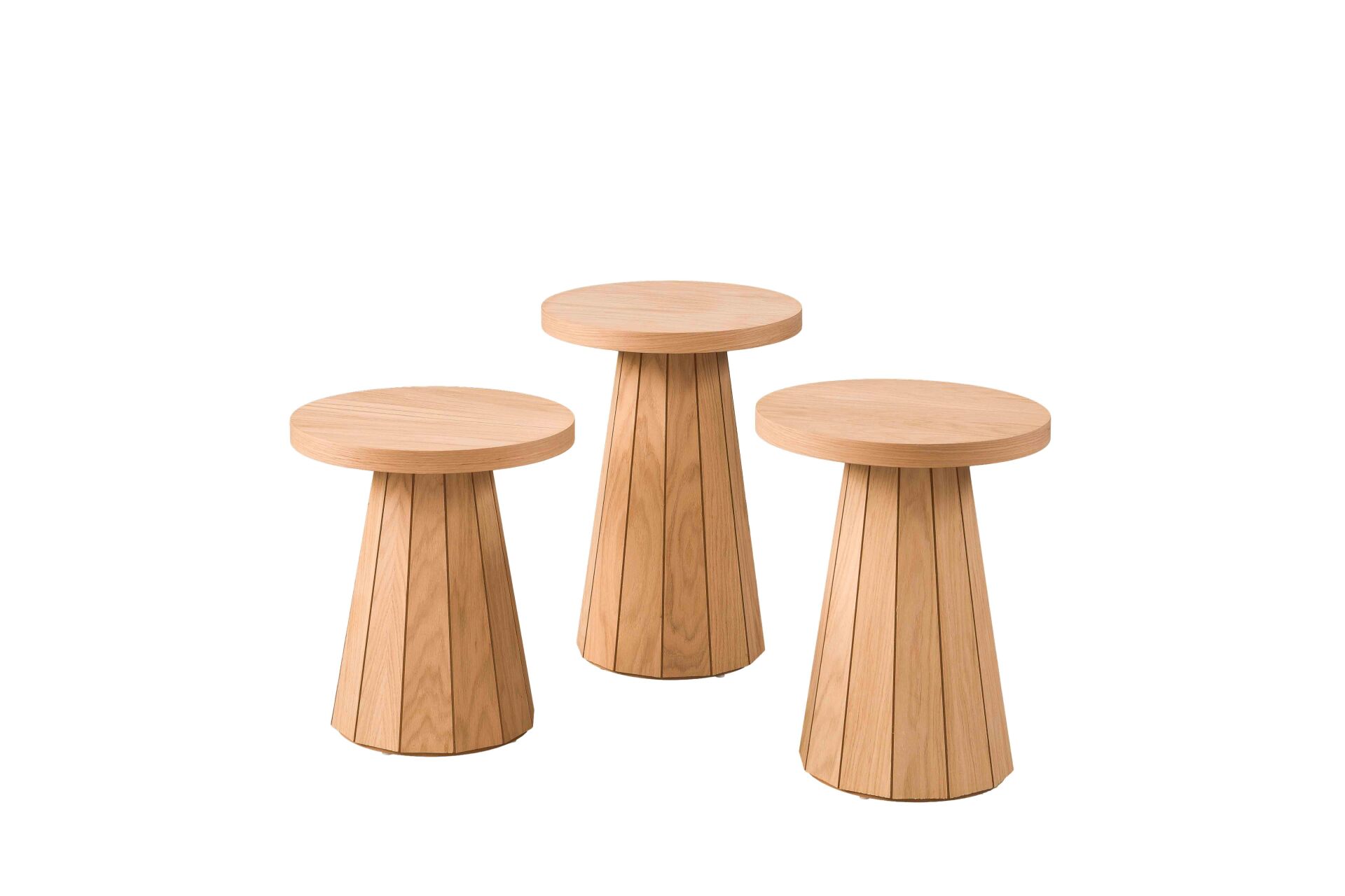 WORLD MEŞE MANTAR SEHPA