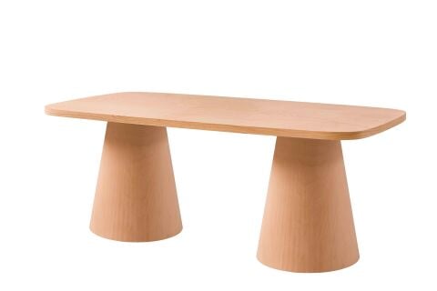 ÇİFT AYAKLI FIÇI KAYIN SABİT 190 CM MASA 190X100X76